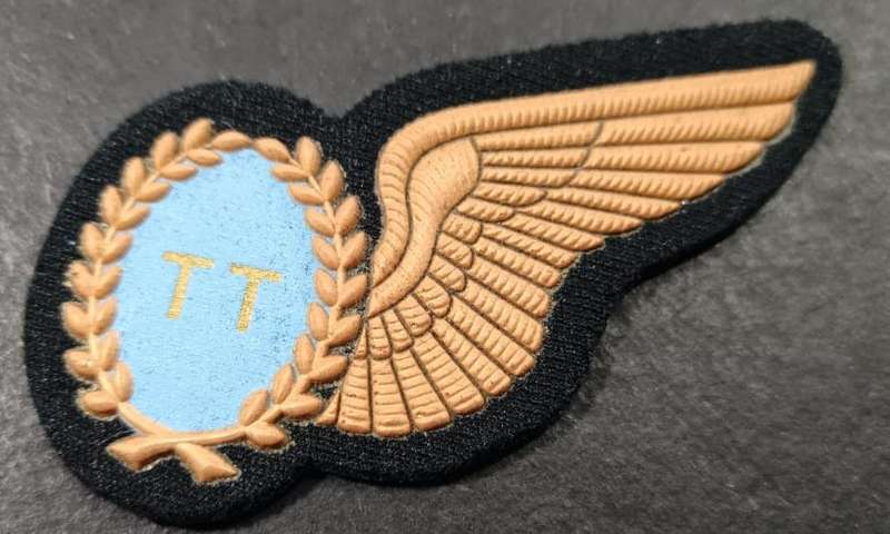 SADF - Airforce Wing