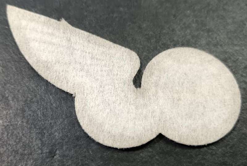 SADF - Airforce Wing