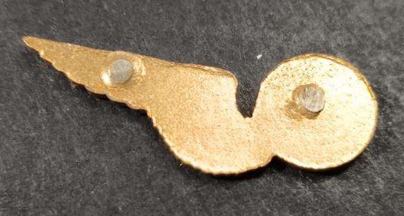 SADF - Airforce Wing