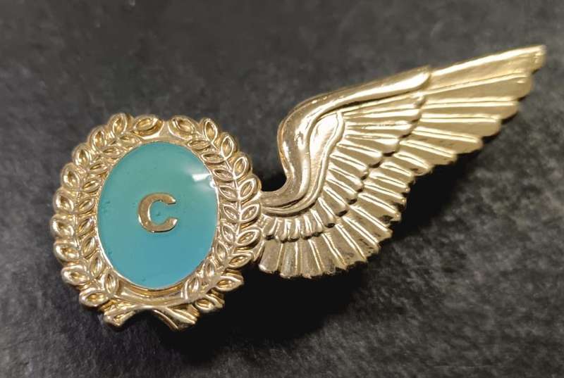 SADF - Airforce Wing