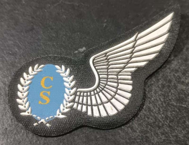 SADF - Airforce Wing