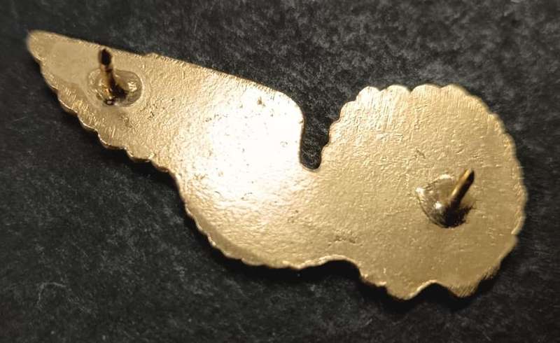 SADF - Airforce Wing