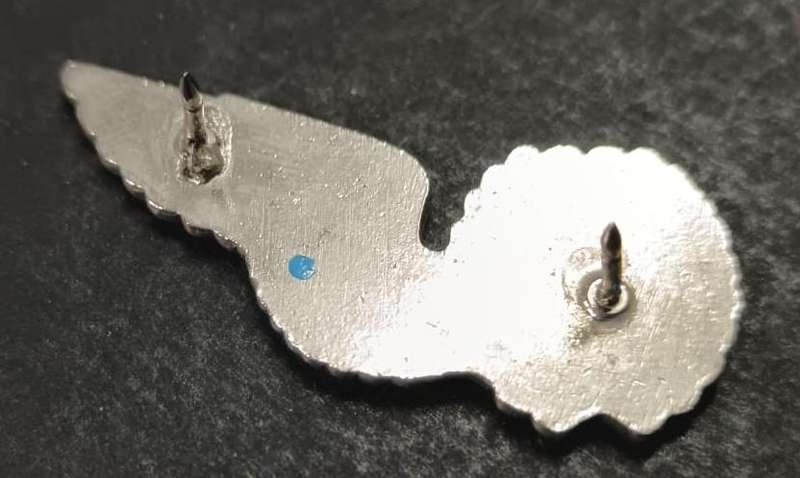 SADF - Airforce Wing