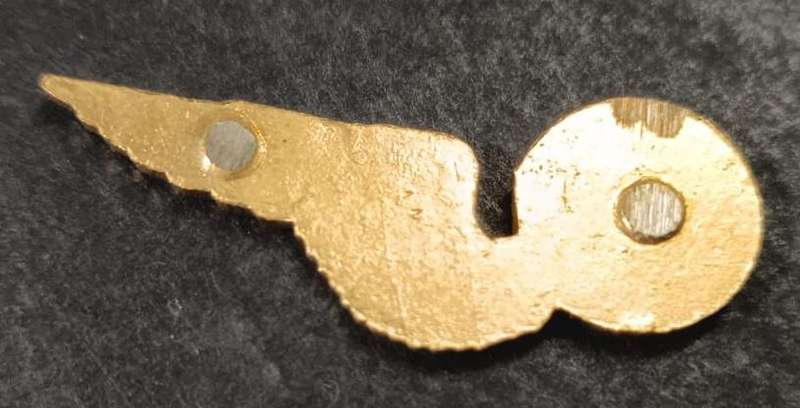 SADF - Airforce Wing
