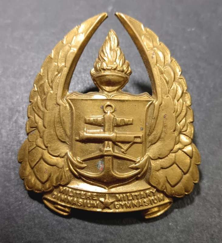 SADF - Gymnasium Cap Badge