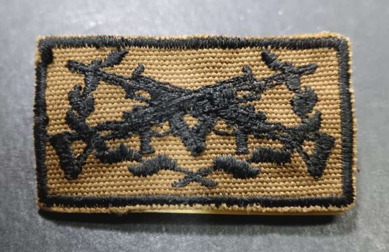 SADF - SWATF Marksman Qualification Nutria Badge