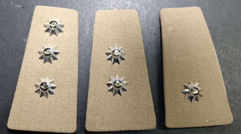 SADF - Rank Boards