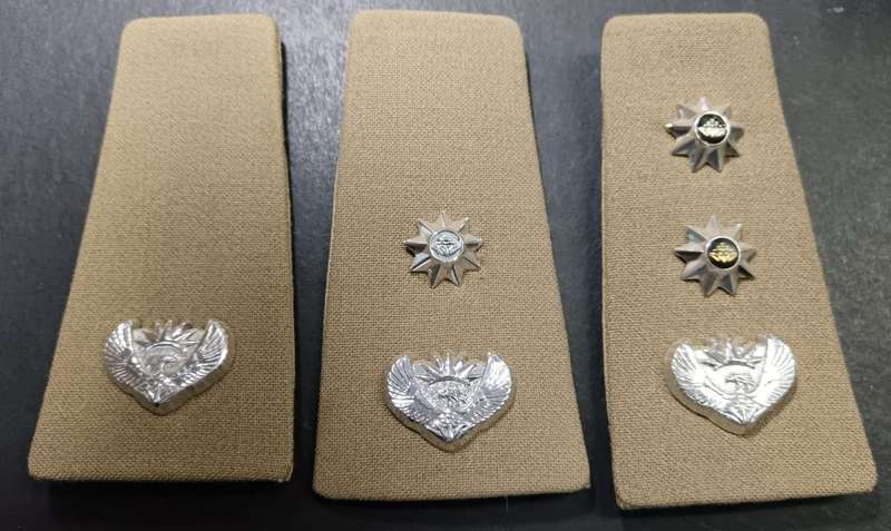 SADF - Rank Boards
