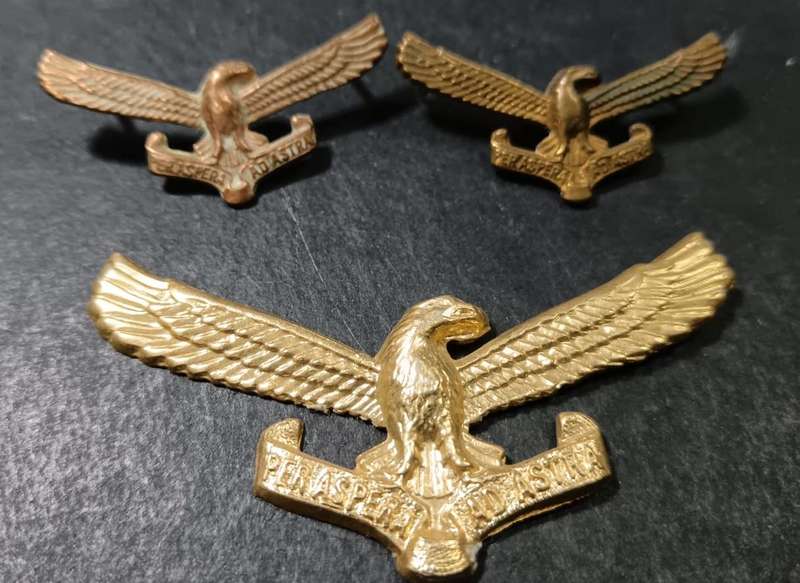 SADF - Airforce Cap and Collars
