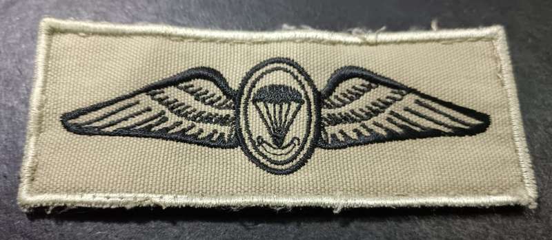 SANDF - Parachute Instructor Breast Badge