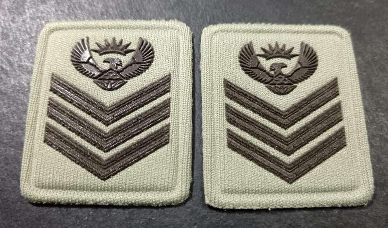 SANDF - Collar Rank Pair