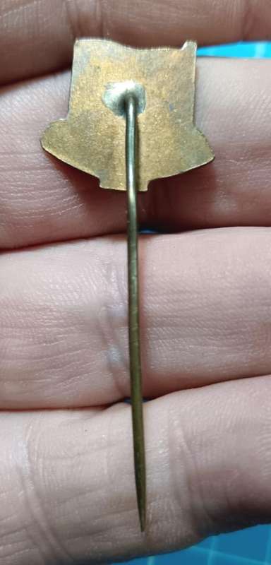 Vintage South African Games Pin Badge