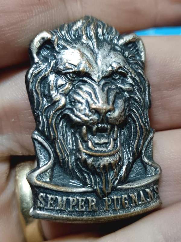 SADF - South West Africa Territorial Forces ( SWATF ) Reaction Force Cap Badge