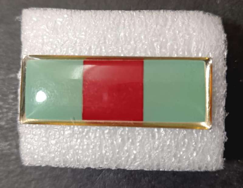 SADF - Anti Aircraft Beret Bar
