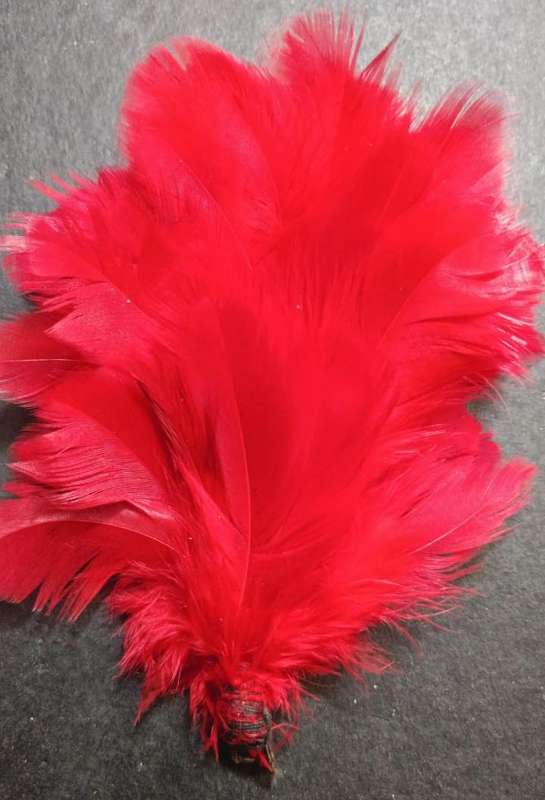 Rhodesian Army/South African Defence Force " Hackle "