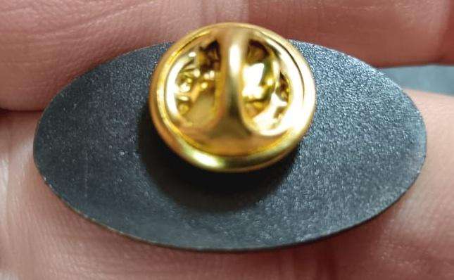 SADF - Air Force Pin Badge