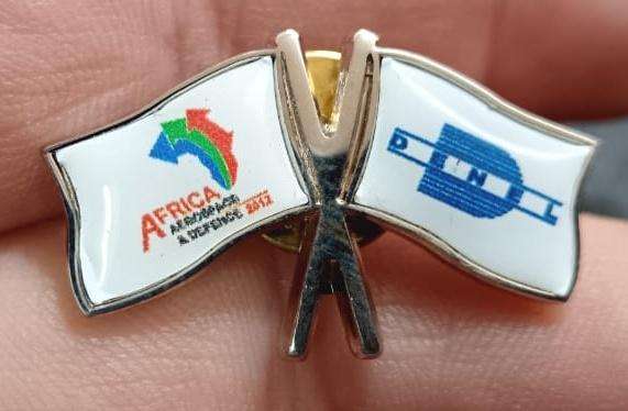 SADF - Air Force Pin Badge