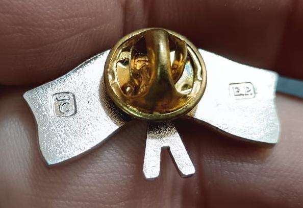 SADF - Air Force Pin Badge
