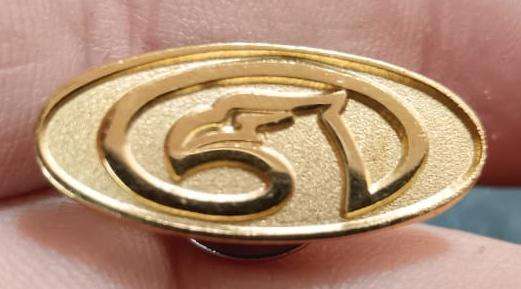 SADF - Air Force Pin Badge