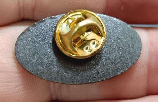 SADF - Air Force Pin Badge