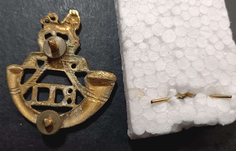 SADF - Rand Light Infantry Cap Badge with Poppie Button Badge