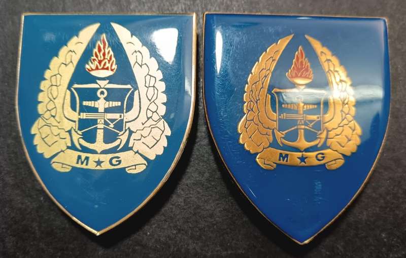 SADF - Army Gymnasium Shoulder Flash Pair