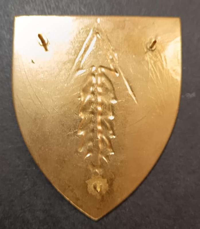 SADF - Regiment Oos Transvaal Shoulder Flash