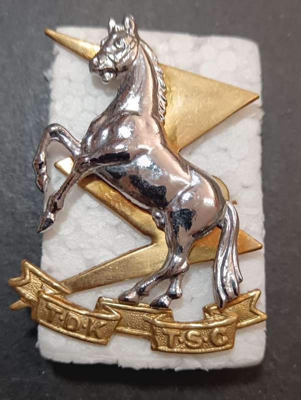 SADF - TDK Cap Badge