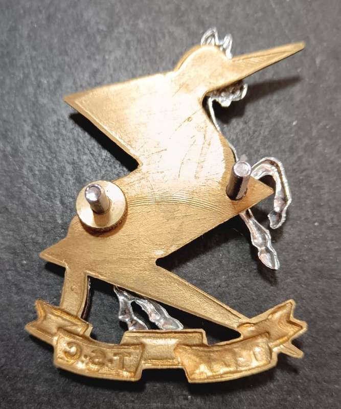 SADF - TDK Cap Badge
