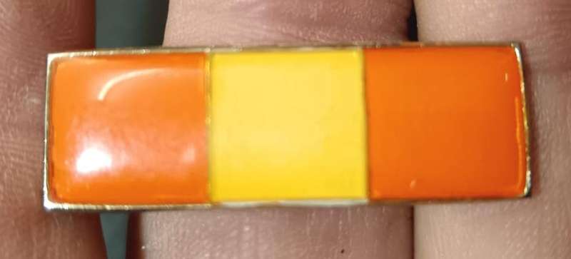 SADF - Personnel Services Beret Bar
