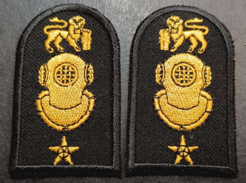 SADF - Navy Collar Badges