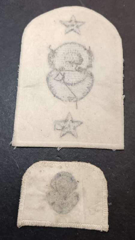 SADF - Navy Diver Badges