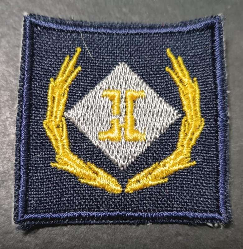 SADF - SAAF Intelligence Breast Badge - Full Size