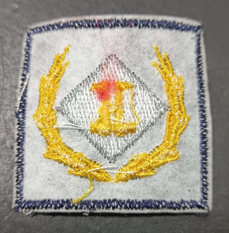 SADF - SAAF Intelligence Breast Badge - Full Size