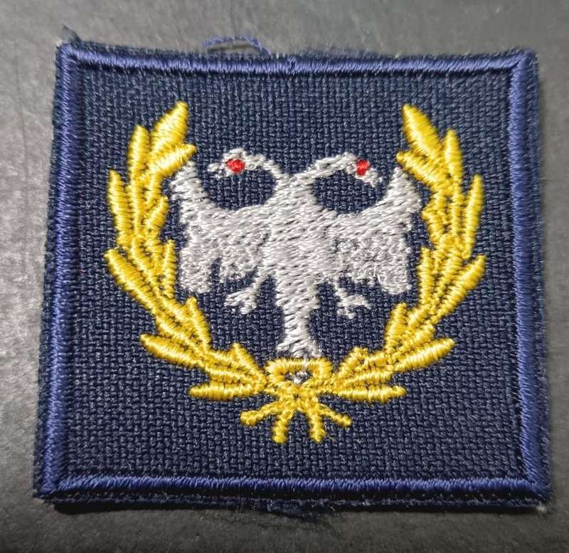 SADF - SAAF Protection Breast Badge - Full Size