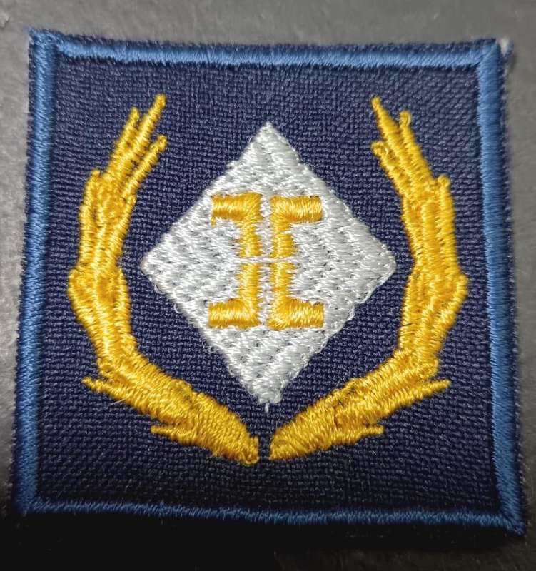 SADF - SAAF Intelligence Breast Badge - Full Size