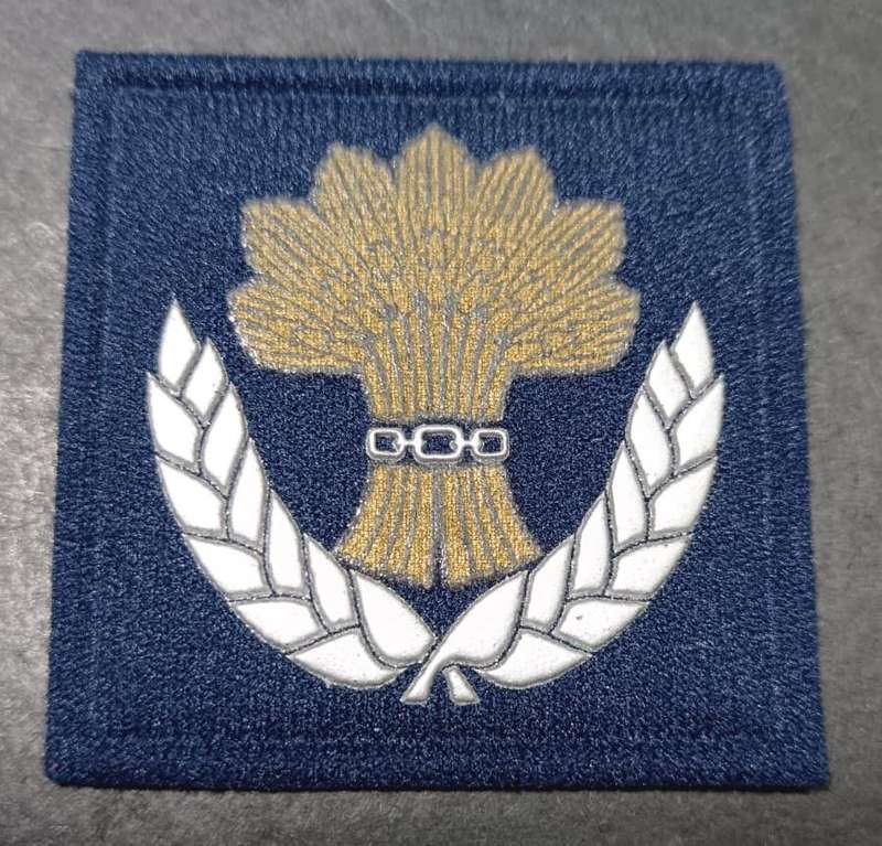 SADF - SAAF Breast Badge - Full Size