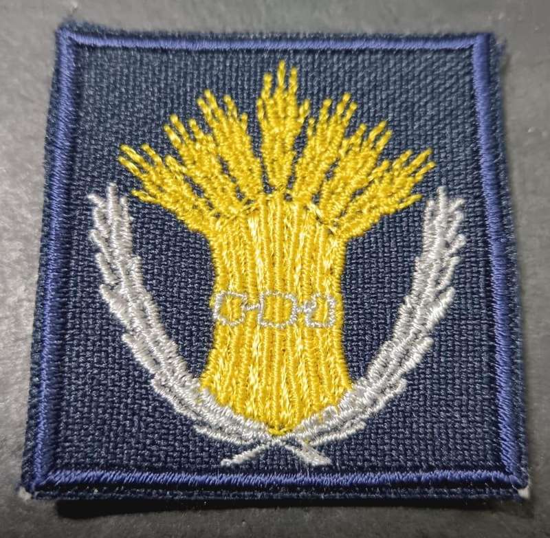 SADF - SAAF Caterer Breast Badge - Full Size