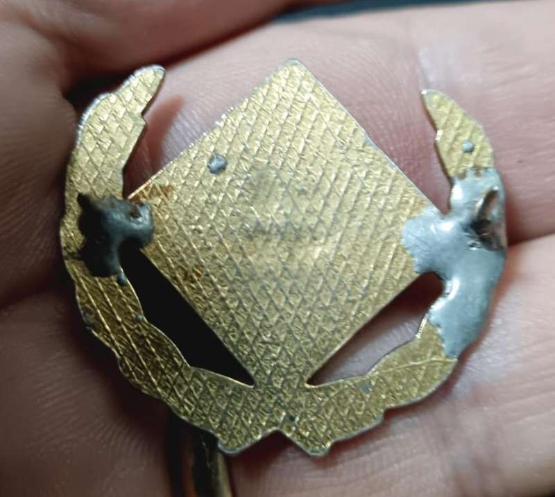 SADF - SAAF Intelligence Bi-Metal Mustering Badge - Full Size
