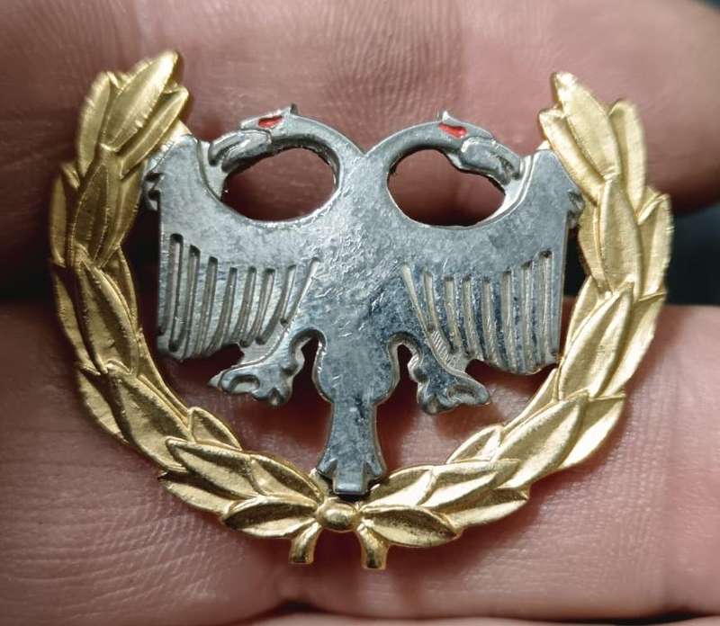 SADF - SAAF Protection Bi-Metal Breast Badge - Full Size