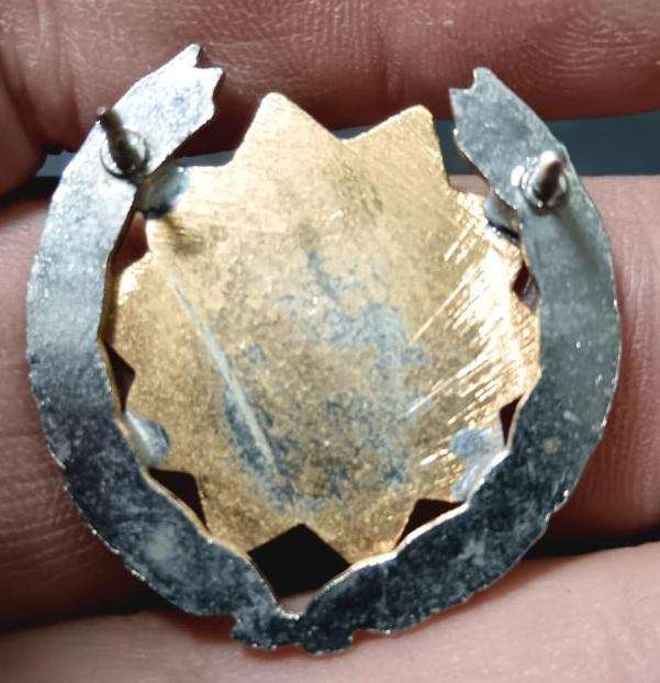 SADF - SAAF Armourer Breast Badge - Full Size