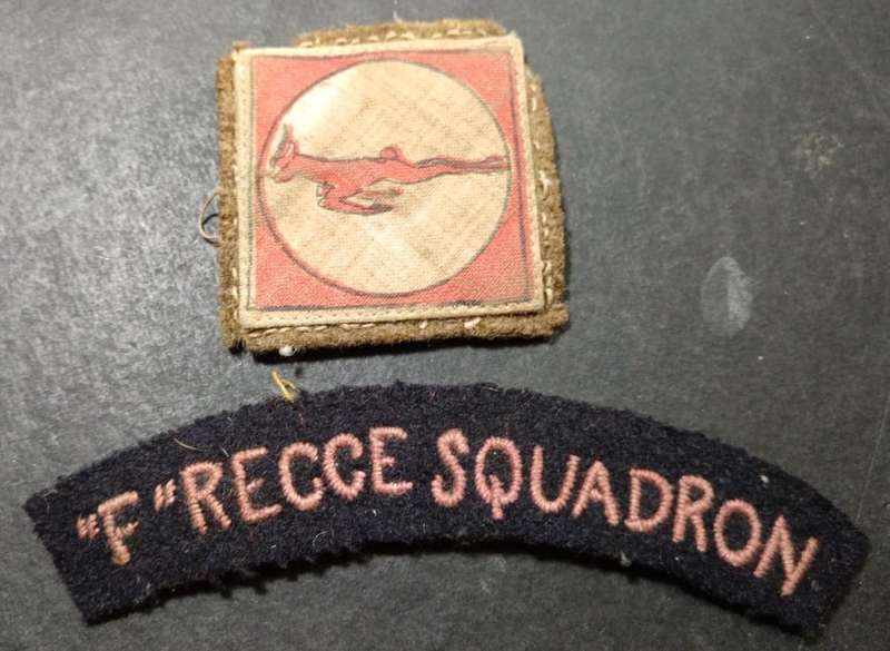 WW2 Italian Co-Belligerent F Recce Squadron Army Paratrooper Insignia