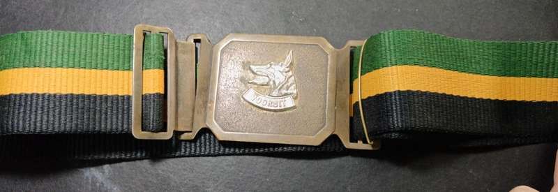 SADF -  Dog Centre Stable Belt