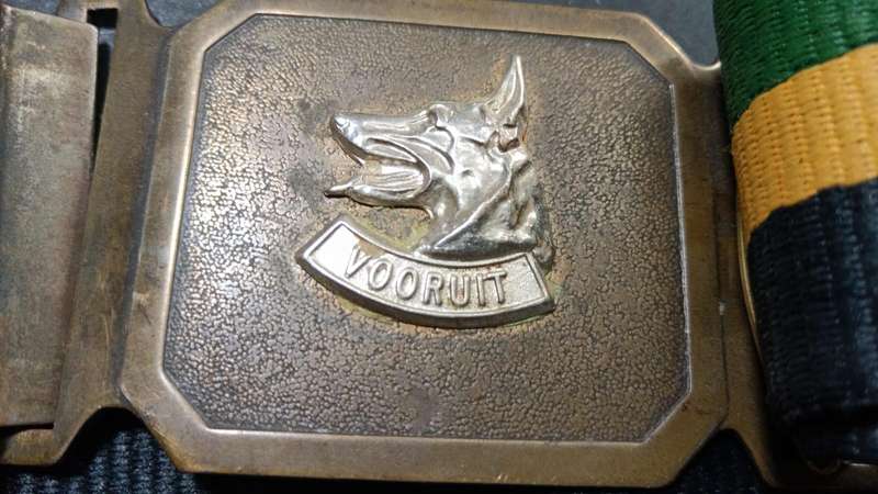 SADF -  Dog Centre Stable Belt