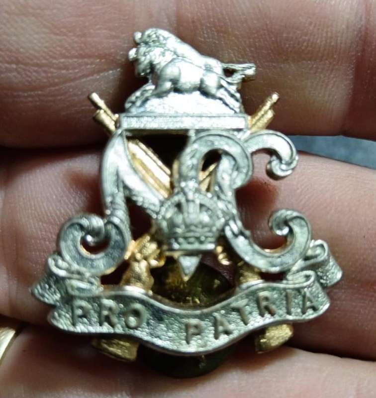 SADF - Natal Carbineers Collar Badge