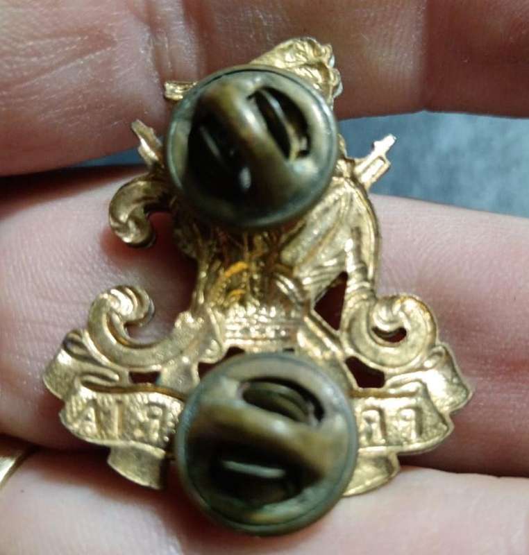 SADF - Natal Carbineers Collar Badge