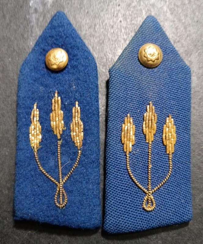 SAP Officers Gorget Pair