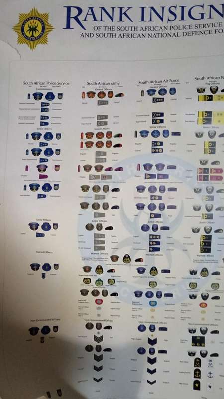 Rank Insignia of the South African Police and Defence Force Poster ( Great Reference - Damaged )