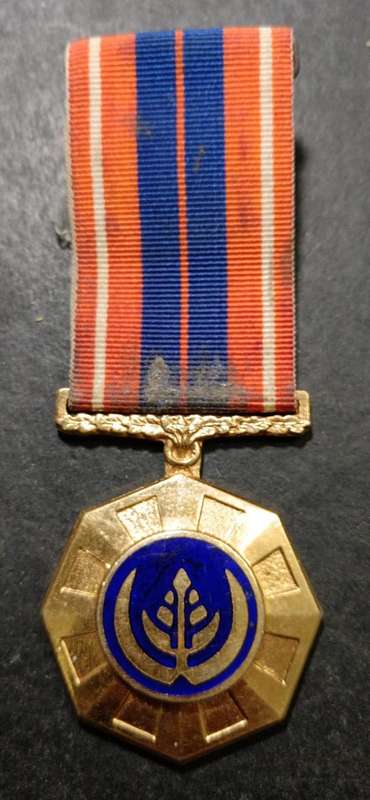 SADF - Full Size Pro Patria Medal
