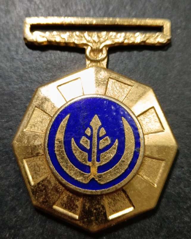 SADF - Full Size Pro Patria Medal